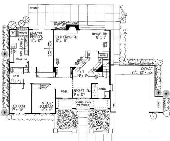 plano de casa con palmeras, plano de casa con terraza, plano de casa con cochera