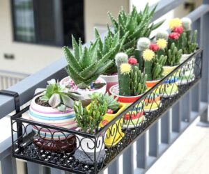 balcones con cactus, soporte para plantas en balcones